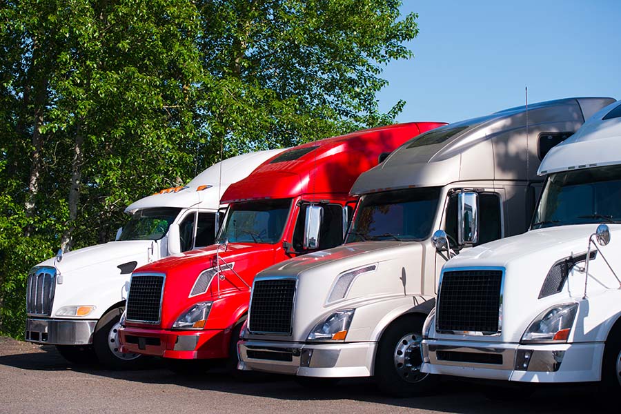 Fleet Insurance - View of Row of Semi Trucks Parked Next to a Tall Tree in a Parking Lot Against a Clear Blue Sky